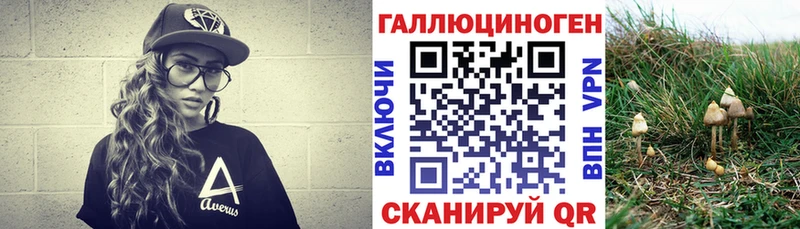 Галлюциногенные грибы мицелий  где купить наркотик  Нестеров 