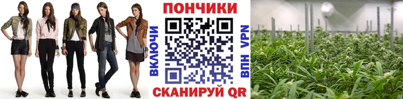 darknet клад Нестеров МАРИХУАНА Amnesia